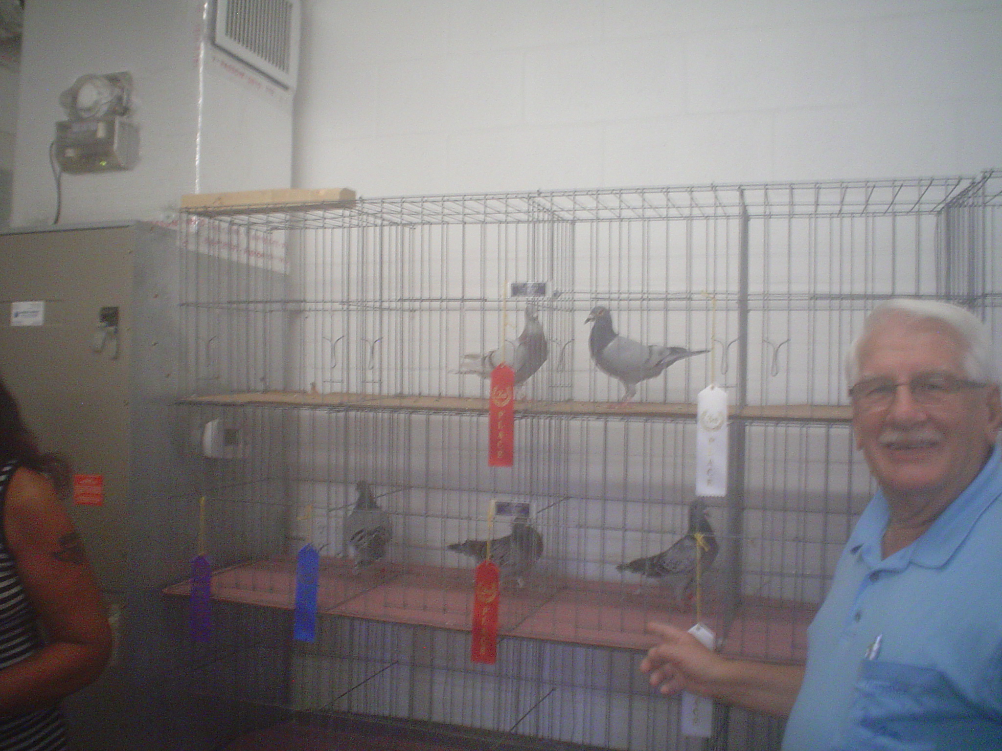 Point At Pigeon