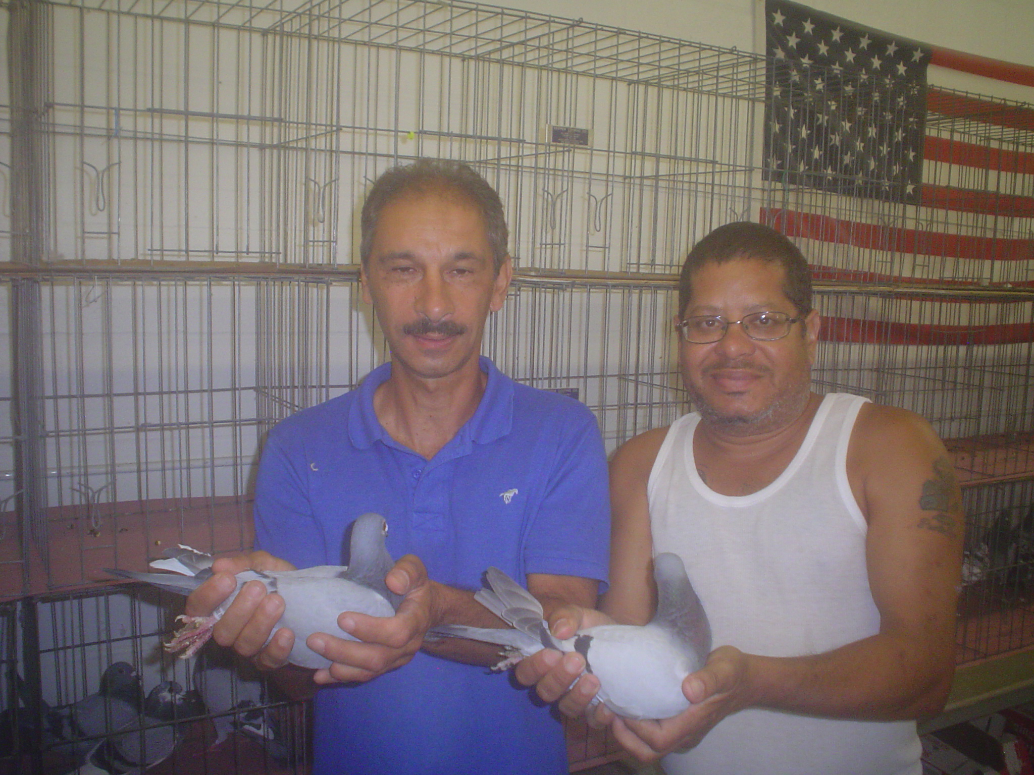 2 Pigeons 2 People